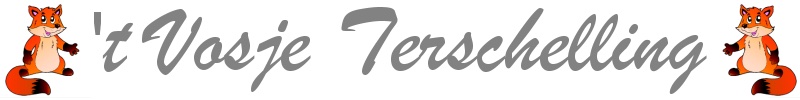 't Vosje vakantiehuis Terschelling logo