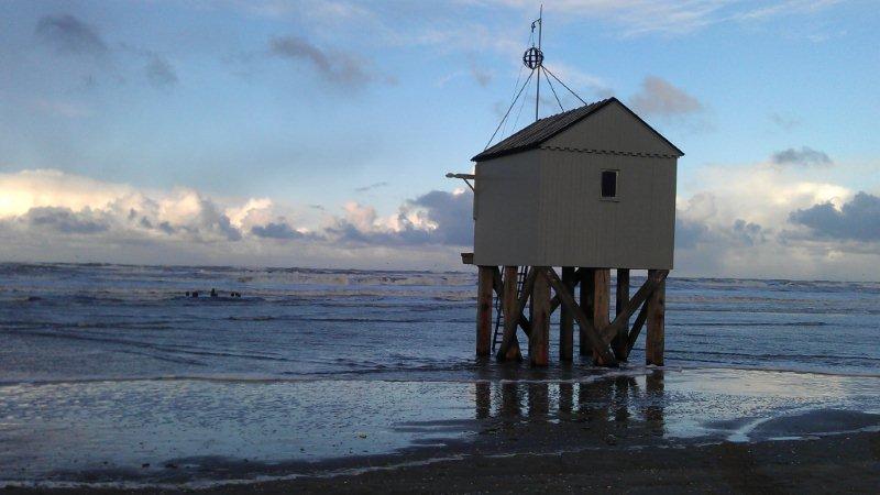 Natuurgebied op Terschelling